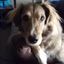 Profile picture bertadmassaro.bsky.social