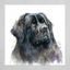 Profile picture newfie912.bsky.social