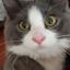 Profile picture msbwul.bsky.social
