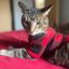 Profile picture franklinstower69.bsky.social