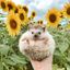 Profile picture moonchildblue.bsky.social