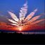 Profile picture comfortablynumb420.bsky.social