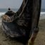 Profile picture wrecked9n76e.bsky.social