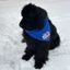 Profile picture oneharbour.bsky.social