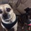 Profile picture lila8.bsky.social