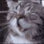 Profile picture zipper730.bsky.social