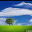 Profile picture horizon1881-1938.bsky.social