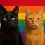 Profile picture catsagainstfascism.bsky.social