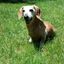 Profile picture richsignorelli.bsky.social