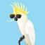 Profile picture birdrespecter.bsky.social