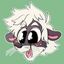 Juniper 🦨 Skunktaur