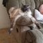 Profile picture nancy1234.bsky.social