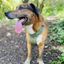 Profile picture mathewhogbin.bsky.social
