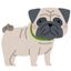 Profile picture pug2.bsky.social