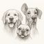 Profile picture lifewithdogsvideos.bsky.social