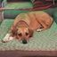 Profile picture billkittle.bsky.social
