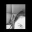 Profile picture nerissahilalim.bsky.social