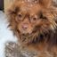 Profile picture sam--2025.bsky.social