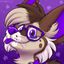 🐾 Jordan 🐾 🔜 MFF