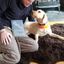Profile picture billmckibben.bsky.social