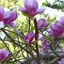 Profile picture anita72.bsky.social