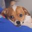 Profile picture kyotiwiles.bsky.social