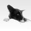 Profile picture glenn-powell.bsky.social