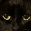 Profile picture mila425.bsky.social