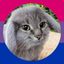 Profile picture denbprikola.bsky.social