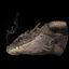 Profile picture joshpurple.bsky.social