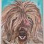 Profile picture thezekester.bsky.social