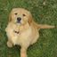 Profile picture little-soapy.bsky.social