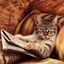 Profile picture catalystmeow.bsky.social