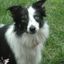 Profile picture lindavt.bsky.social