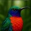 Profile picture denversatile.bsky.social