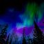 Profile picture thatssosophs.bsky.social