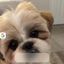 Profile picture carriehighlander2.bsky.social