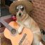 Profile picture thool377.bsky.social