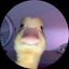Profile picture isudumb.bsky.social