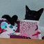 Profile picture mkwarren2.bsky.social