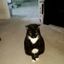 Profile picture brian10295.bsky.social