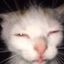 Profile picture vitoc963.bsky.social