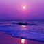 Profile picture princefan-1.bsky.social