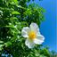 Profile picture judy2514.bsky.social