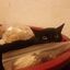 Profile picture archaeologist03.bsky.social