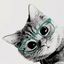 Profile picture elusivejay.bsky.social