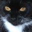 Profile picture itseemstome.bsky.social