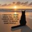 Profile picture beachydreams.bsky.social