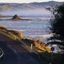 Profile picture narrowneck.bsky.social