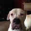 Profile picture nygirlvegas.bsky.social